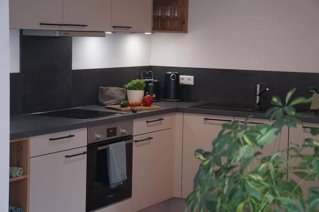 Ott Apartment