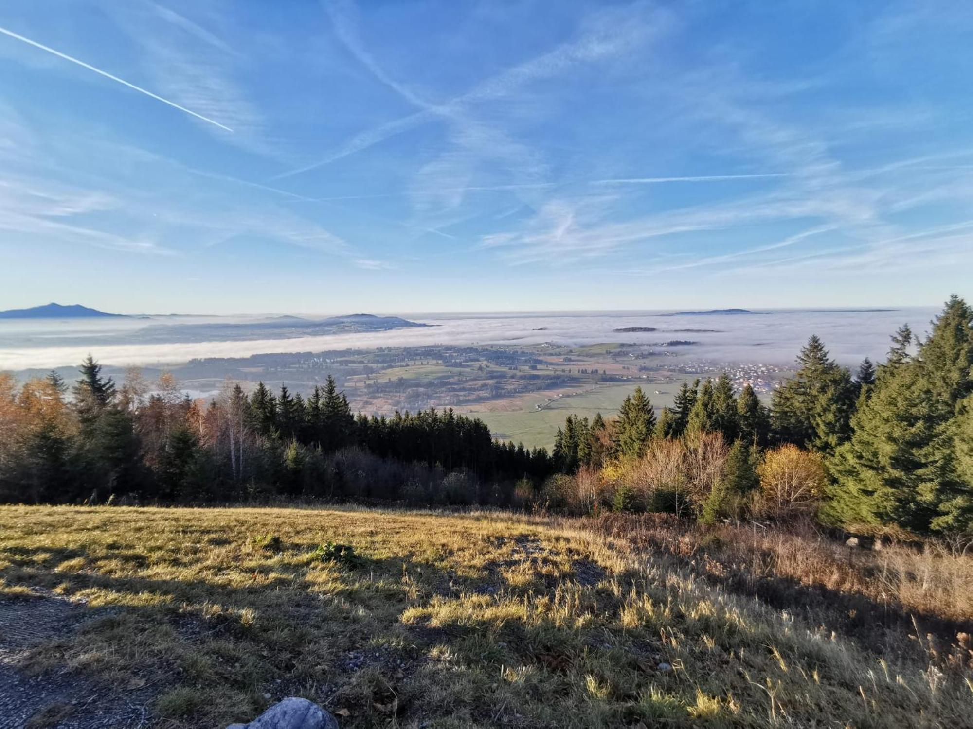 Ott Halblech